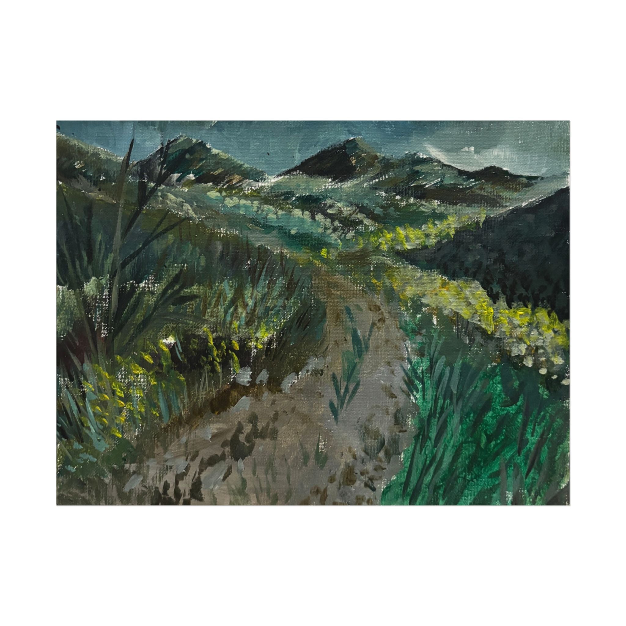 Steele Canyon Bridge - Pushing The Art Training Print