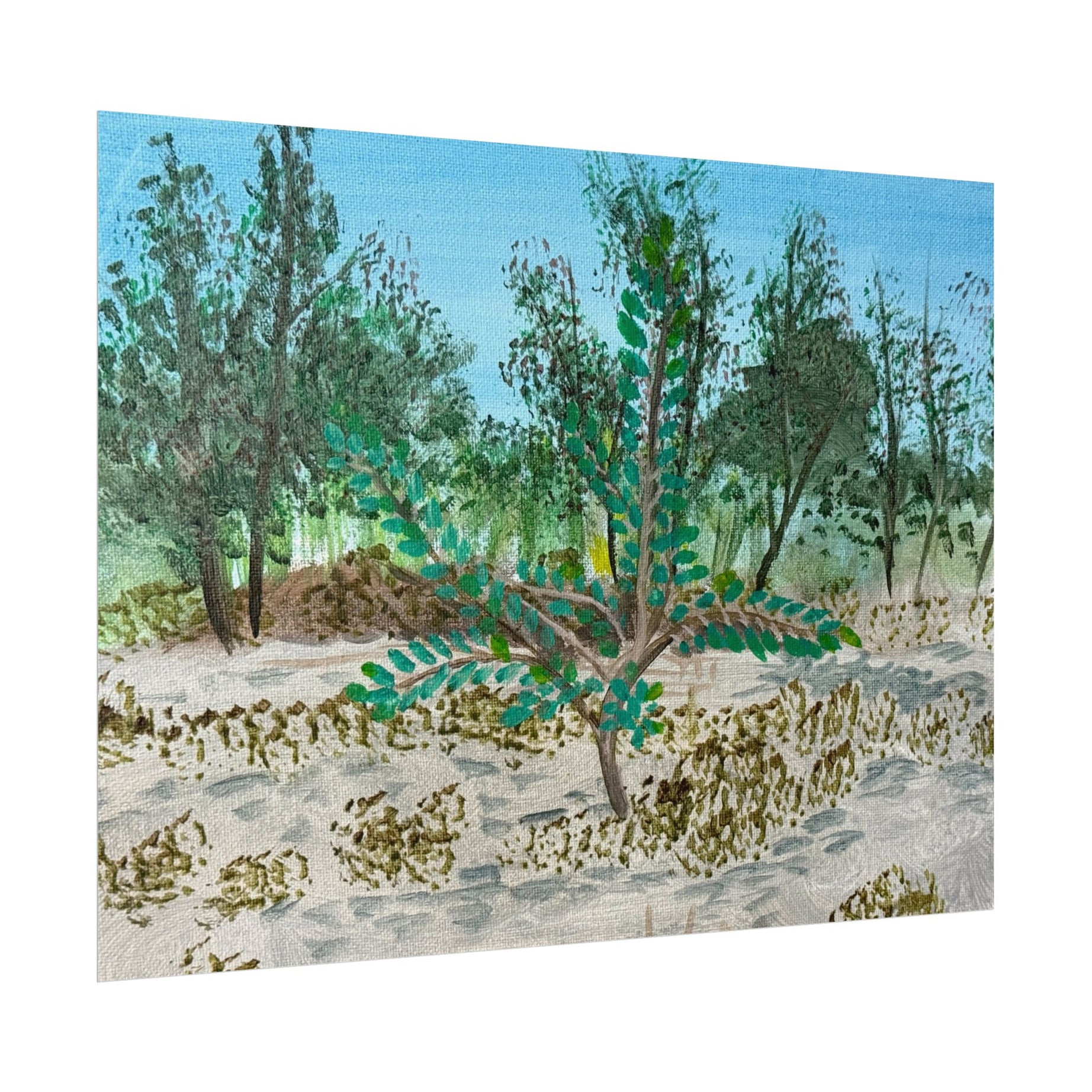 Oklahoma City, Oklahoma- Pushing The Art Day 49