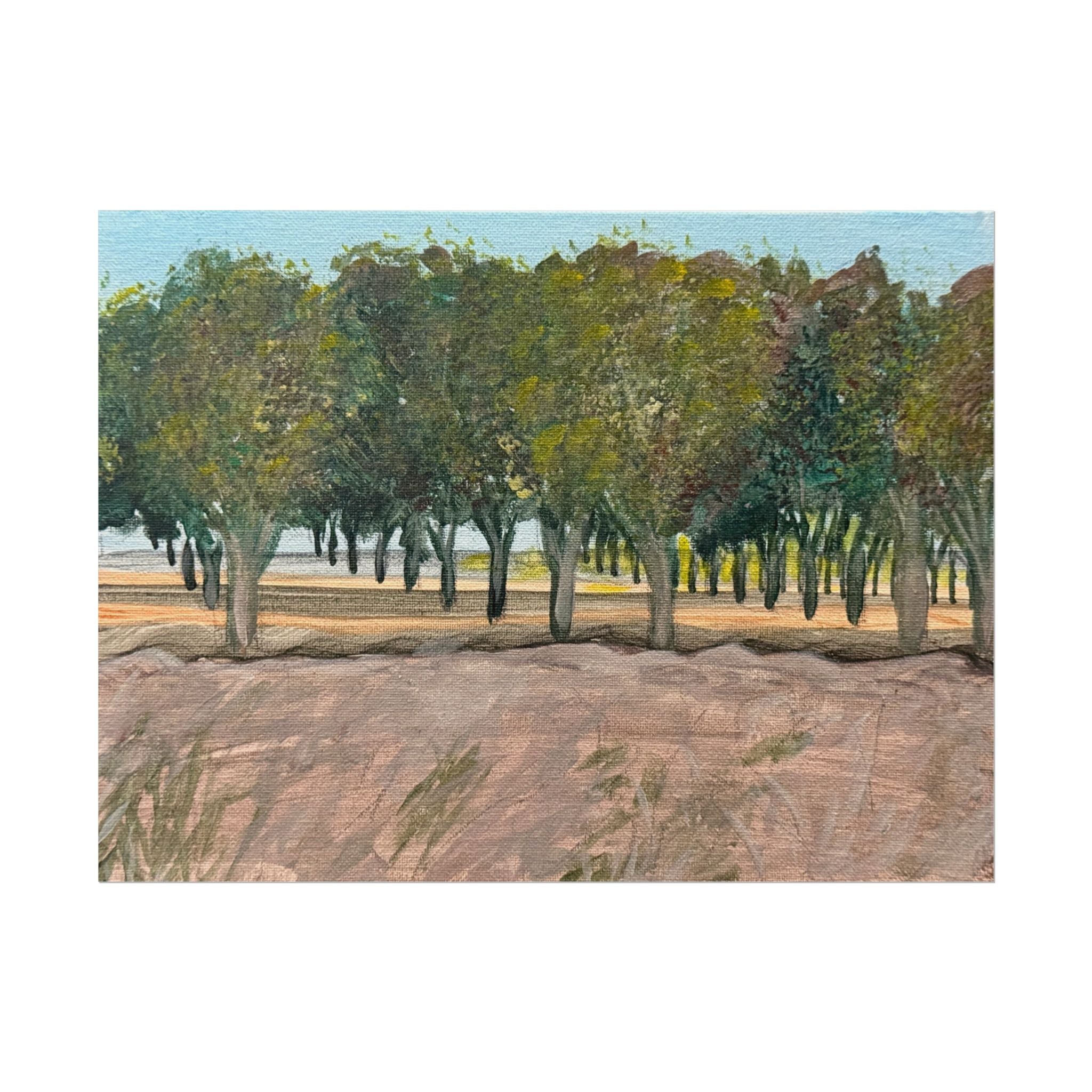 Vado, New Mexico- Pushing The Art Day 78