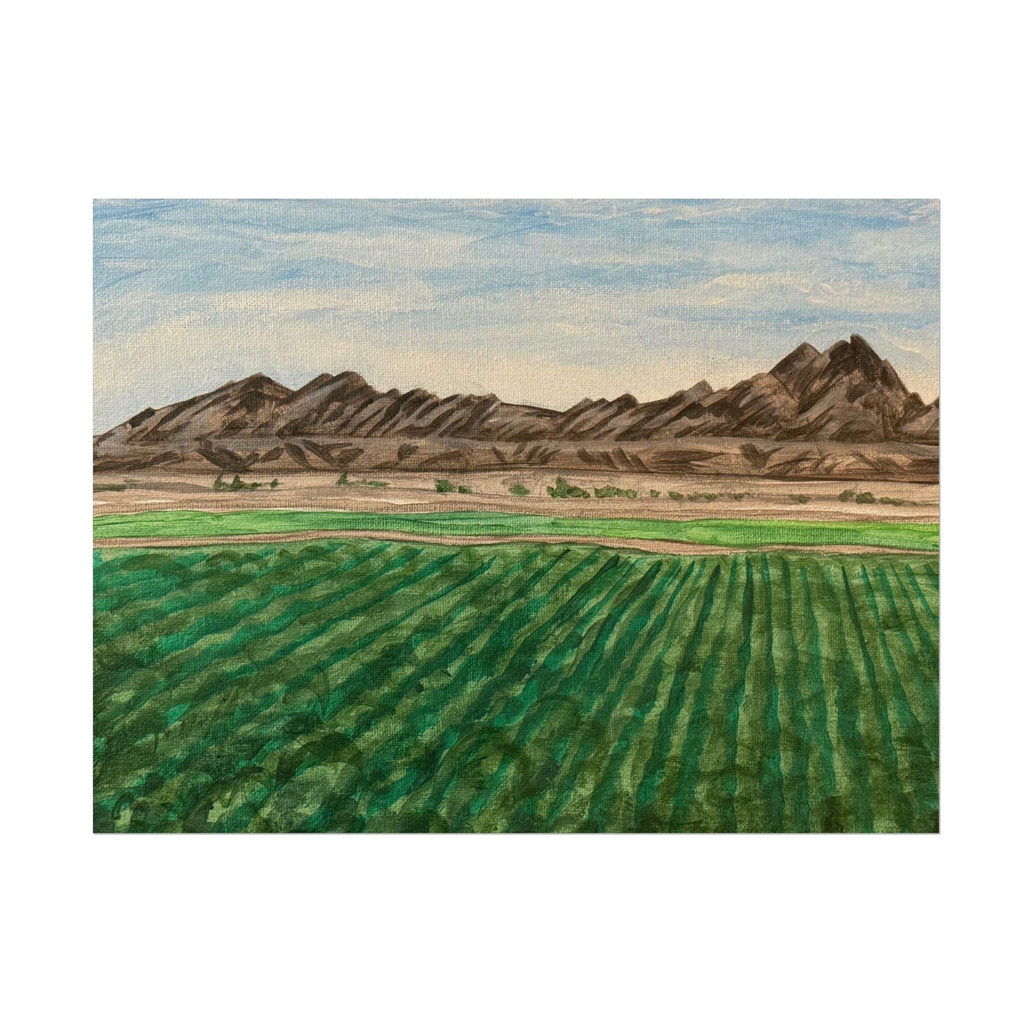 Winterhaven, Arizona- Pushing The Art Day 97