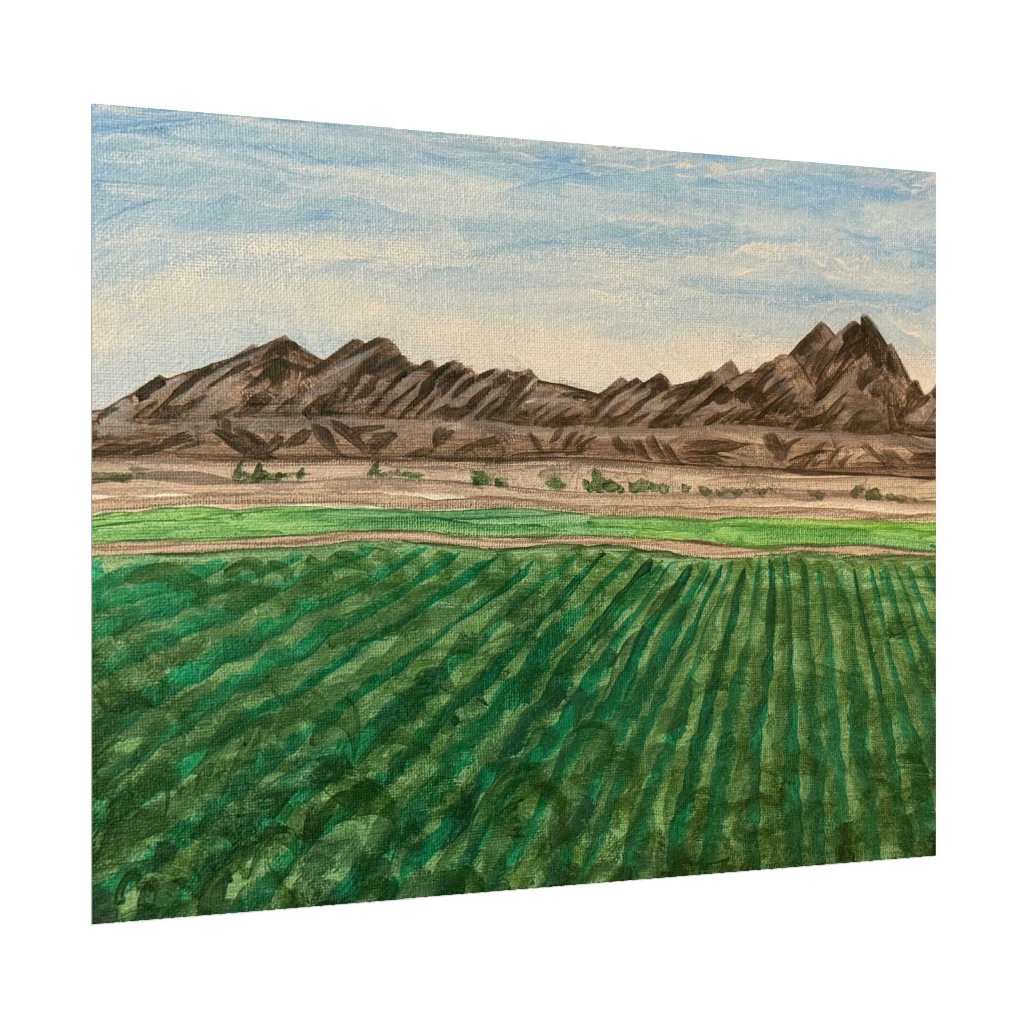 Winterhaven, Arizona- Pushing The Art Day 97