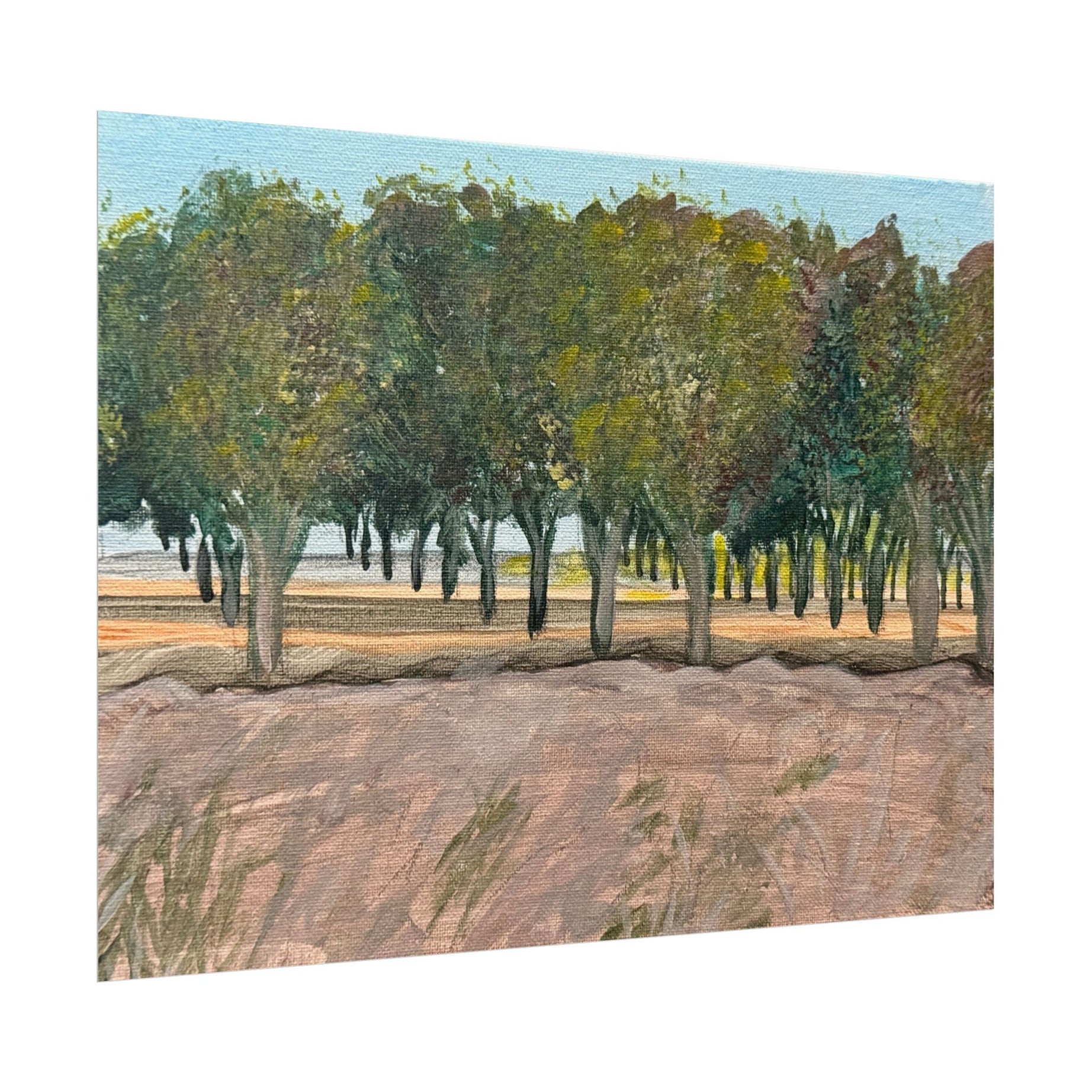 Vado, New Mexico- Pushing The Art Day 78