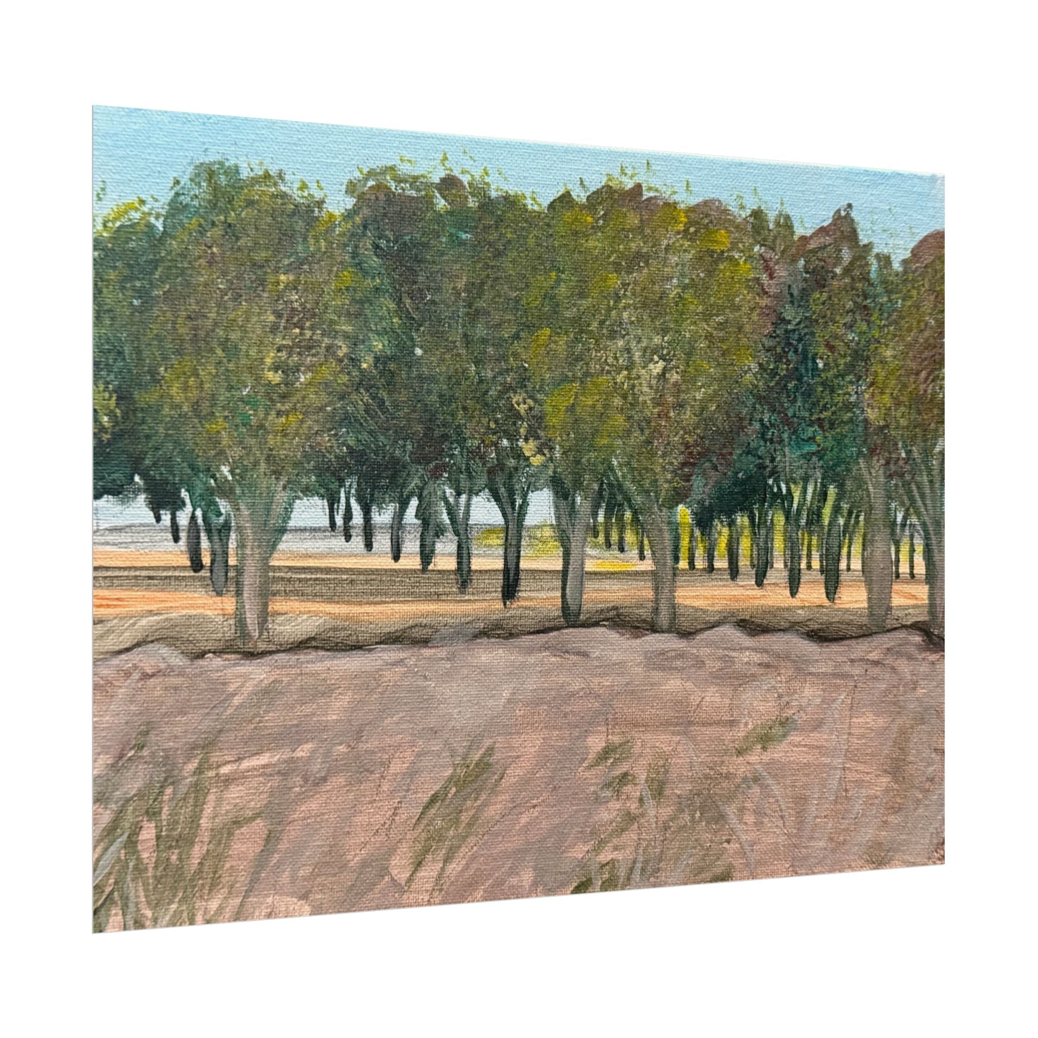 Vado, New Mexico- Pushing The Art Day 78