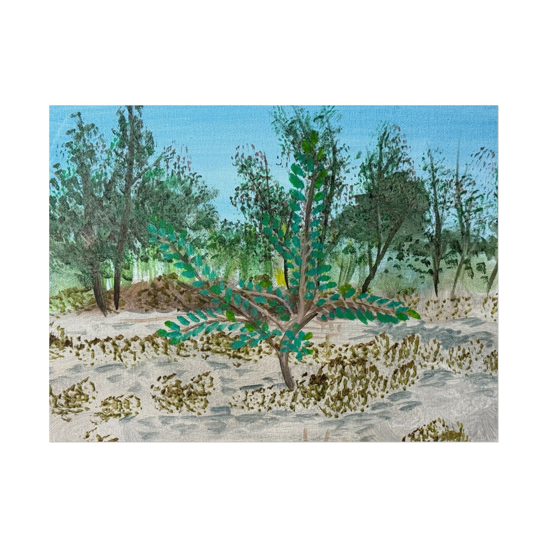 Oklahoma City, Oklahoma- Pushing The Art Day 49