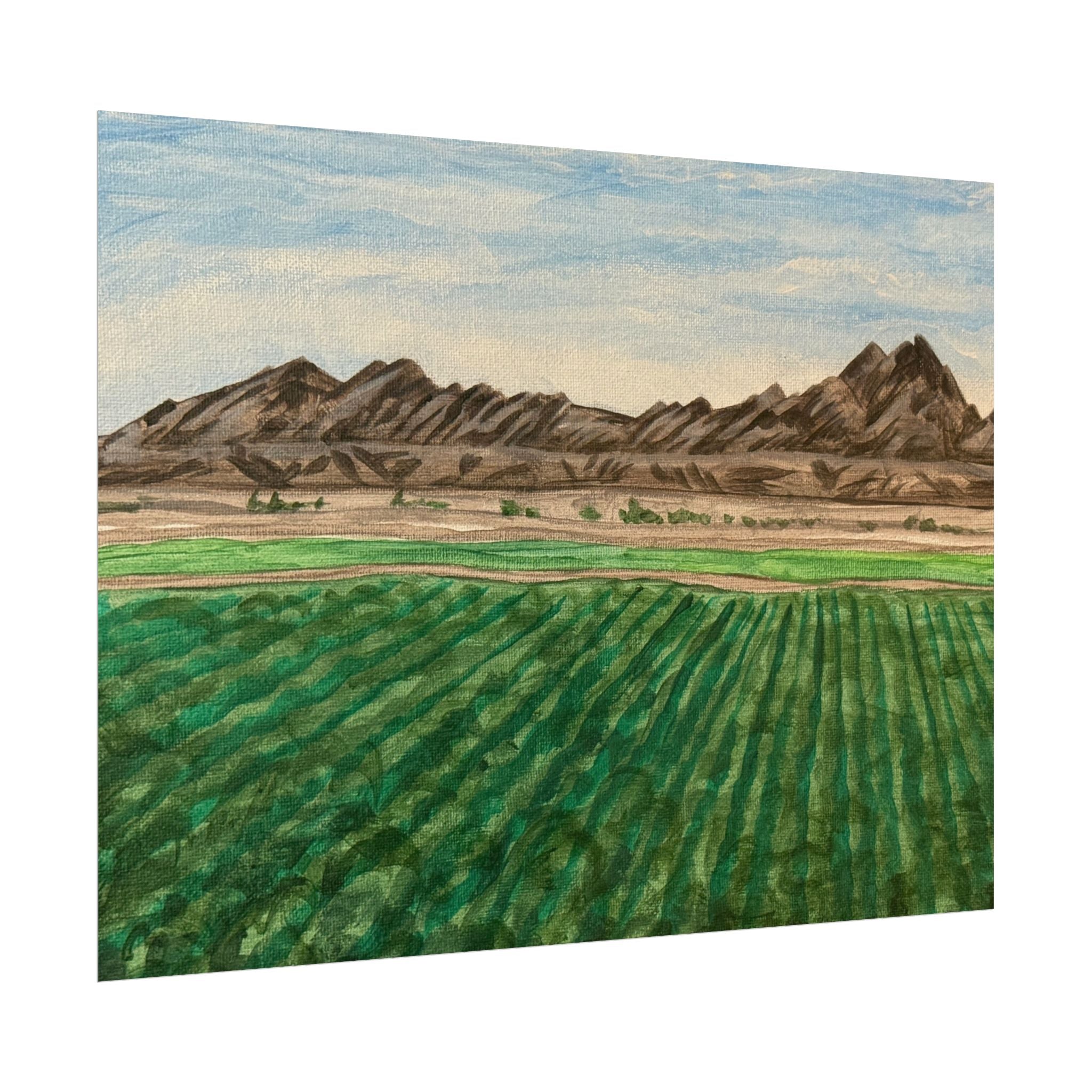 Winterhaven, Arizona- Pushing The Art Day 97