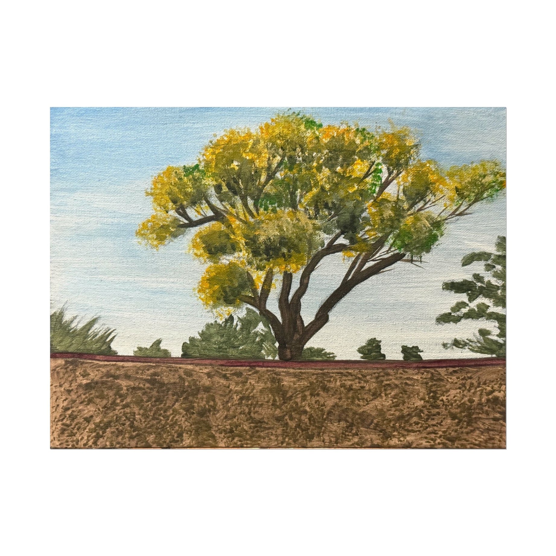 Thatcher, Arizona- Pushing The Art Day 85