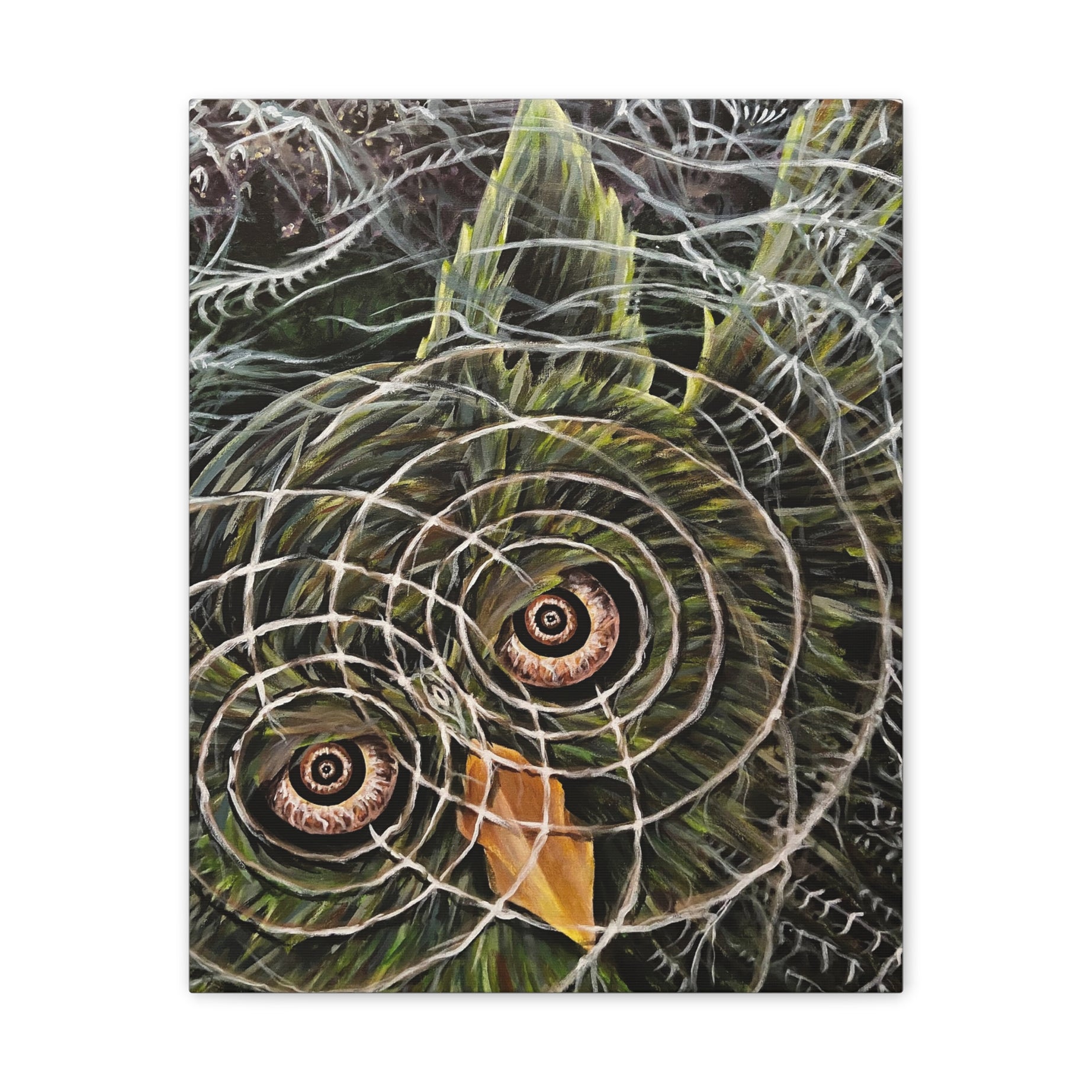 Hoo-Lucinations Canvas