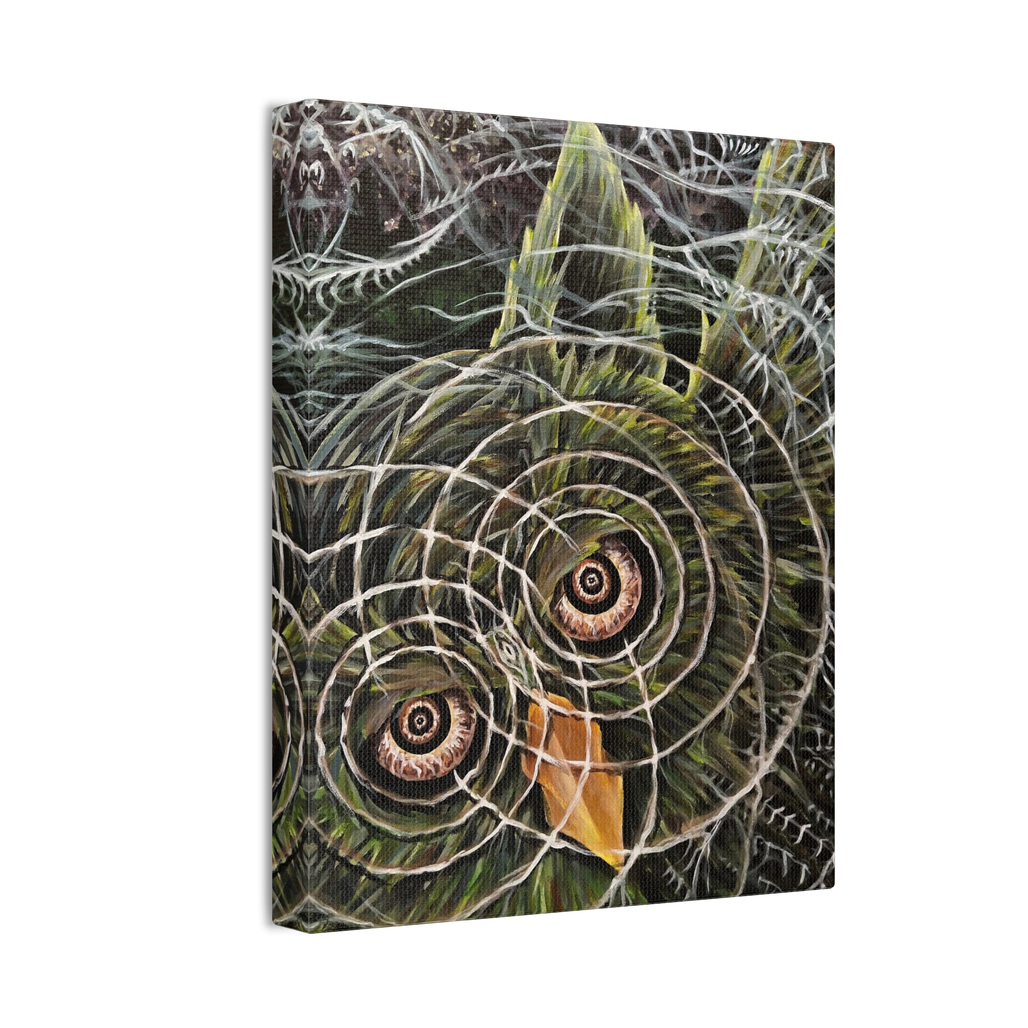 Hoo-Lucinations Canvas