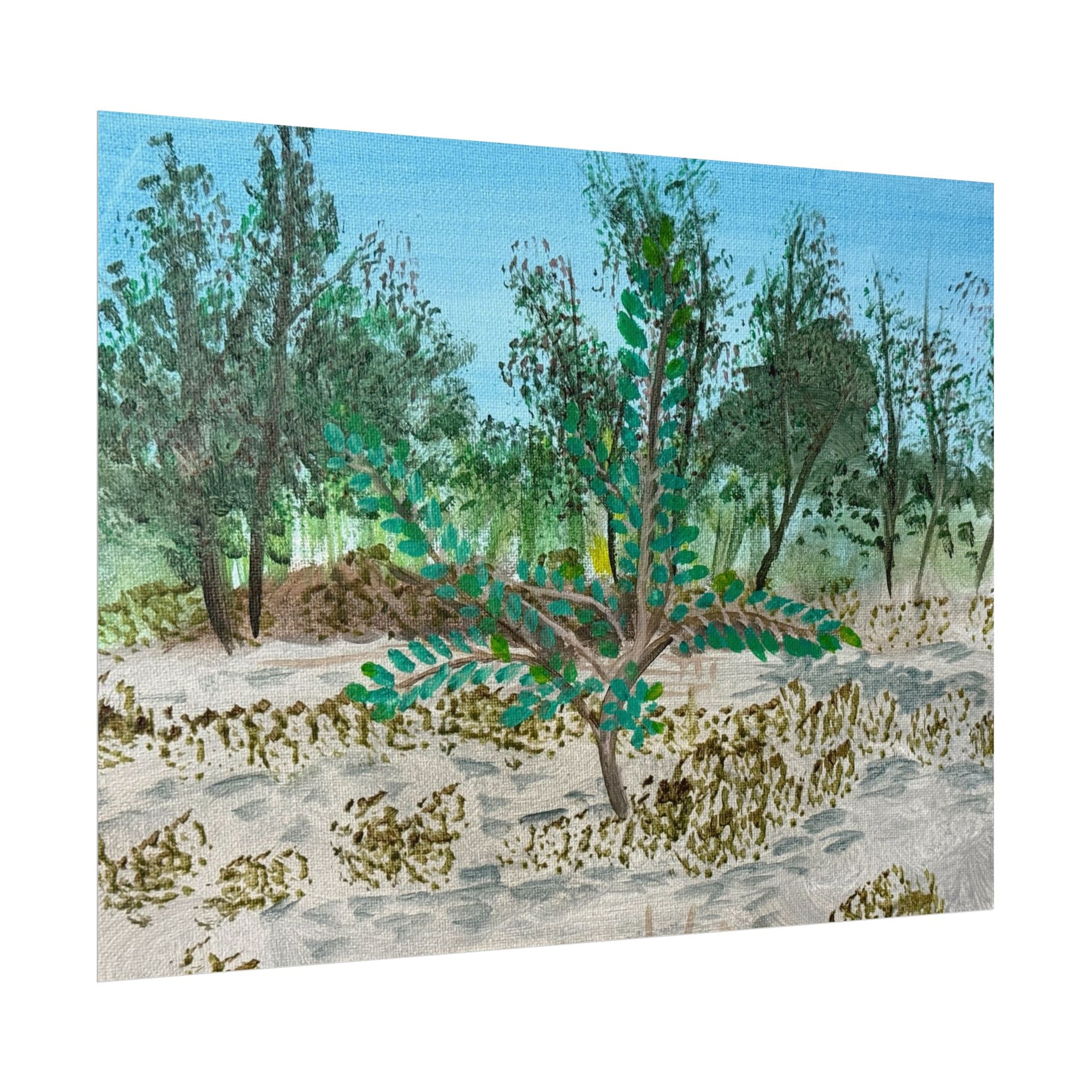 Oklahoma City, Oklahoma- Pushing The Art Day 49