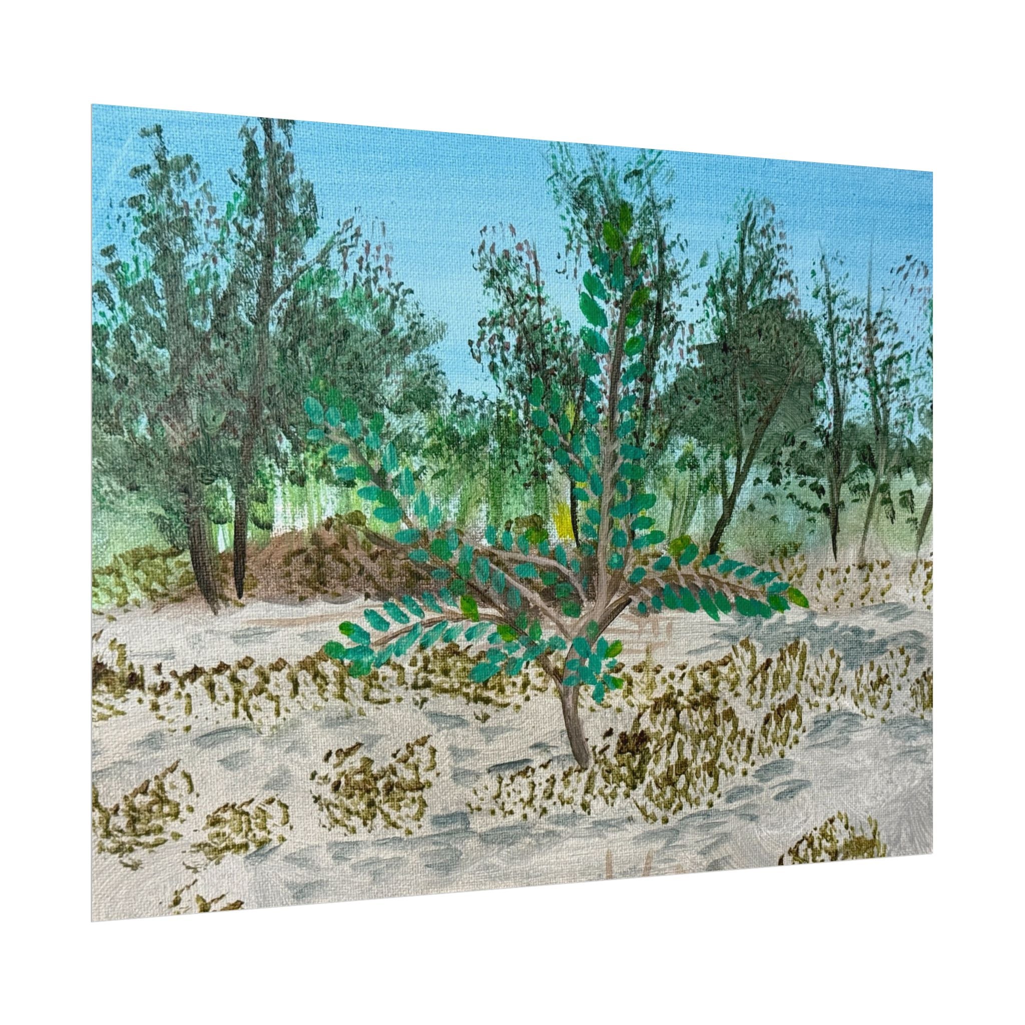 Oklahoma City, Oklahoma- Pushing The Art Day 49