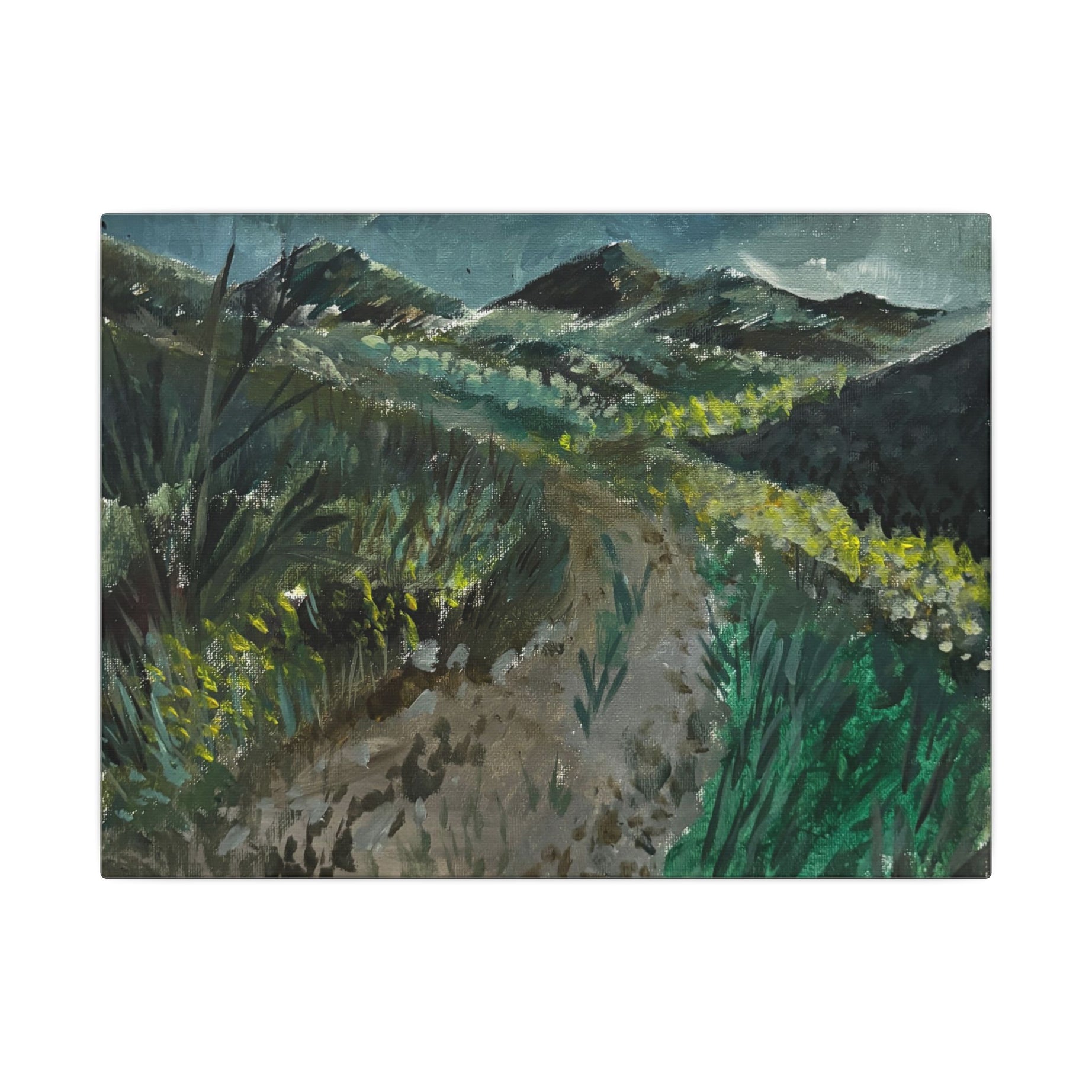 Steele Canyon Canvas - Pushing The Art