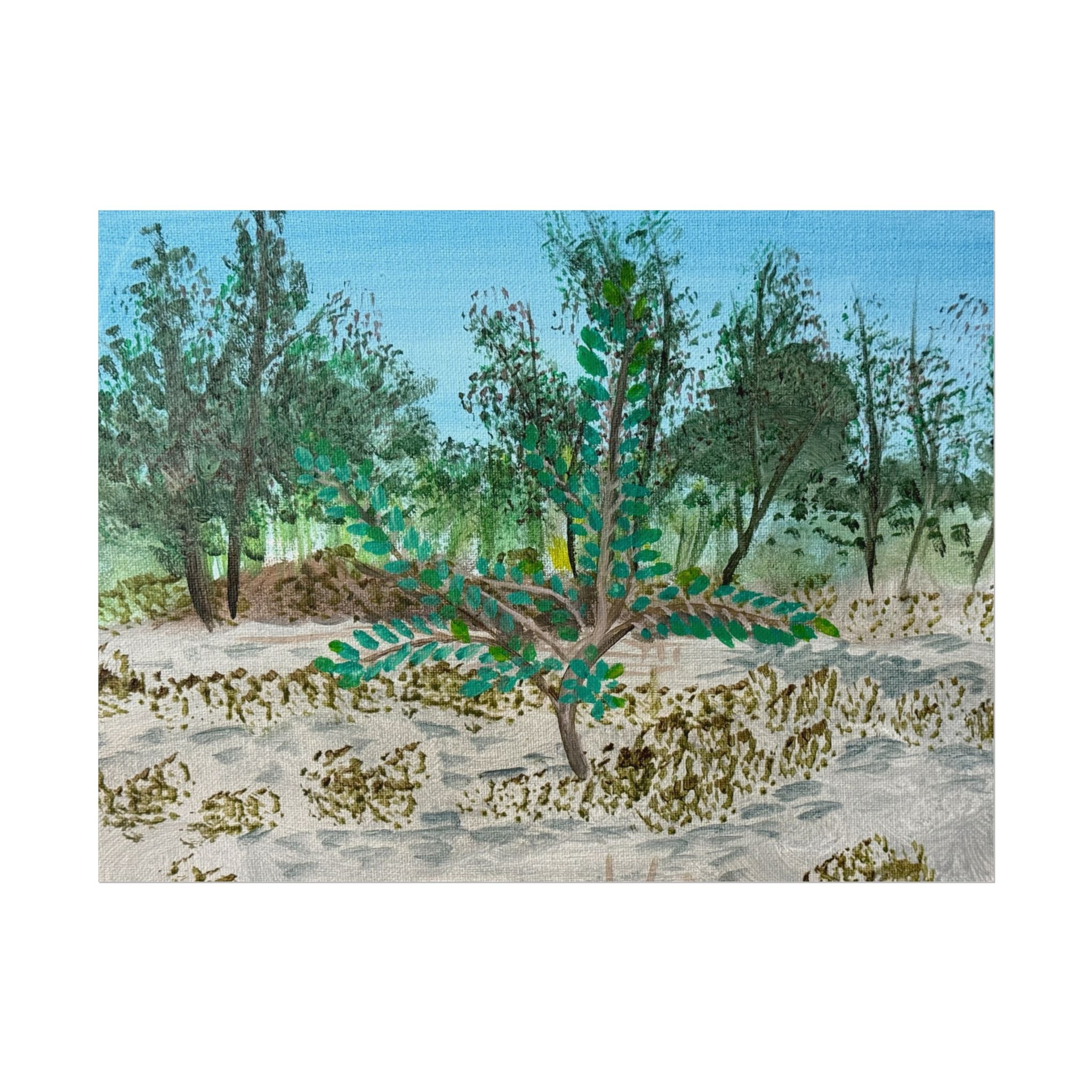 Oklahoma City, Oklahoma- Pushing The Art Day 49