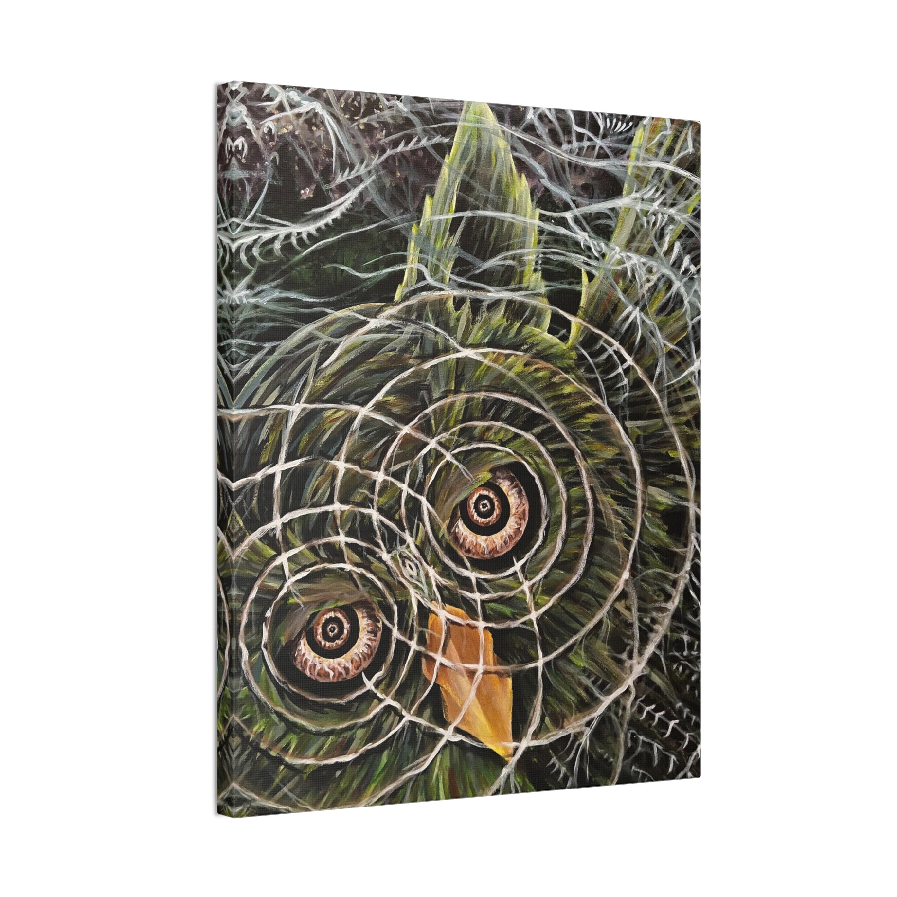 Hoo-Lucinations Canvas