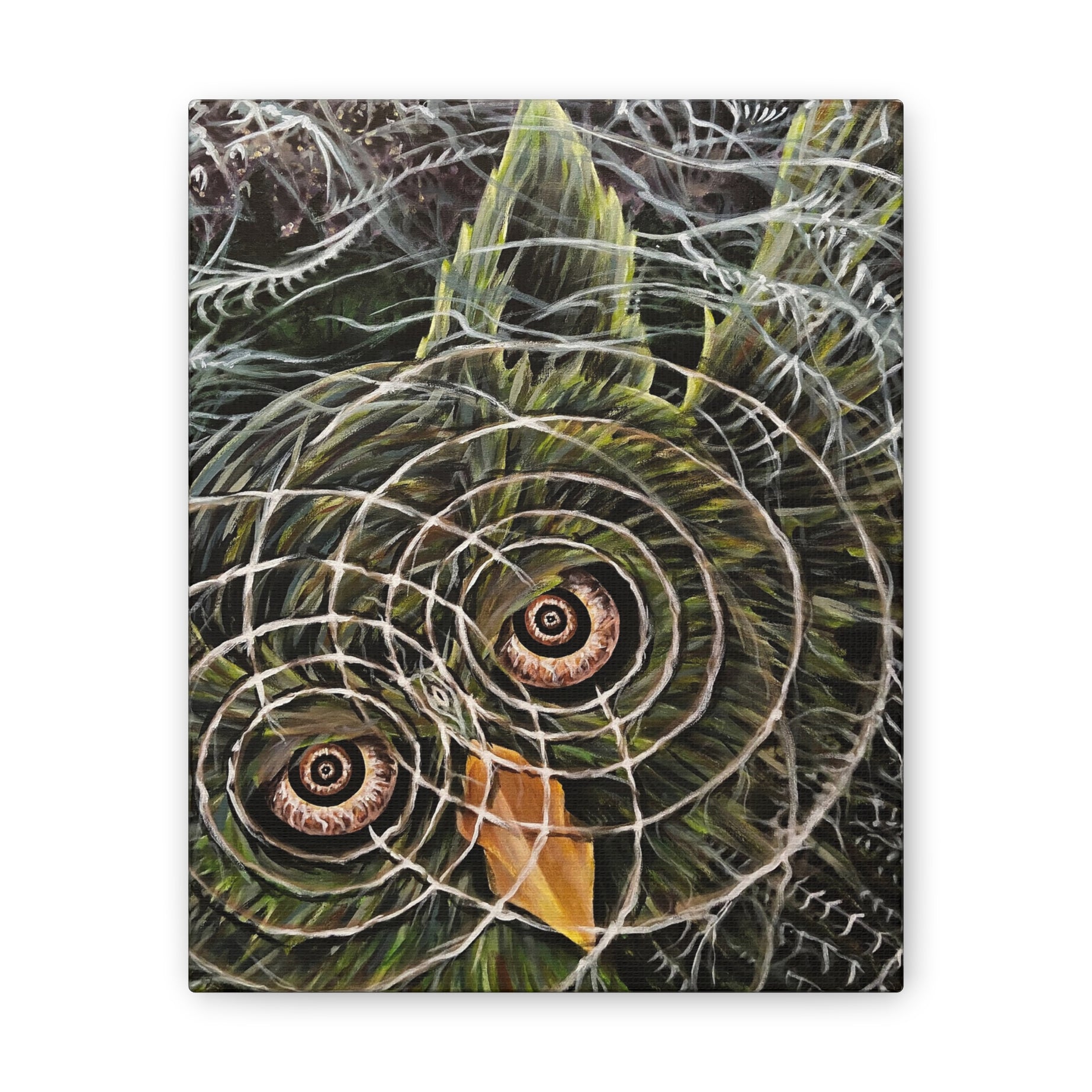 Hoo-Lucinations Canvas
