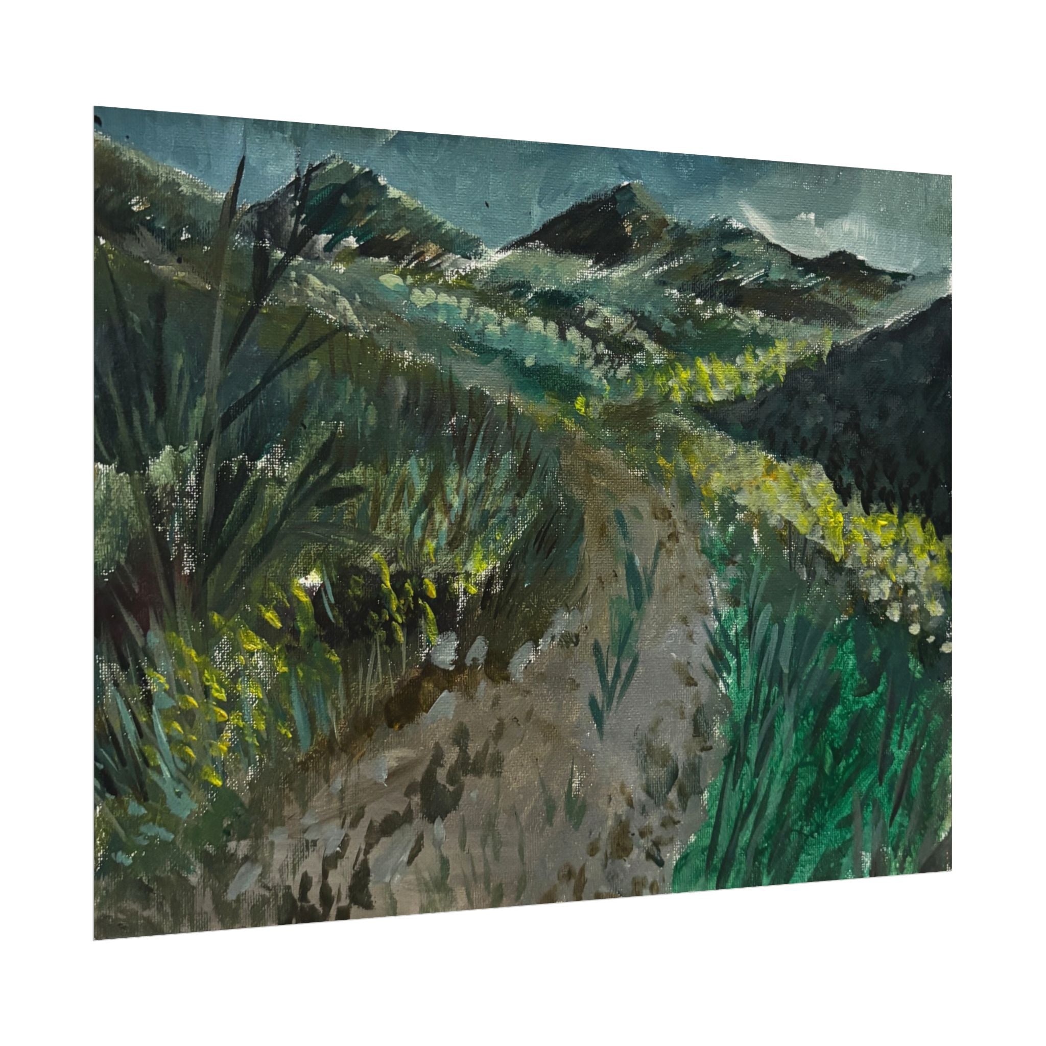 Steele Canyon Bridge - Pushing The Art Training Print