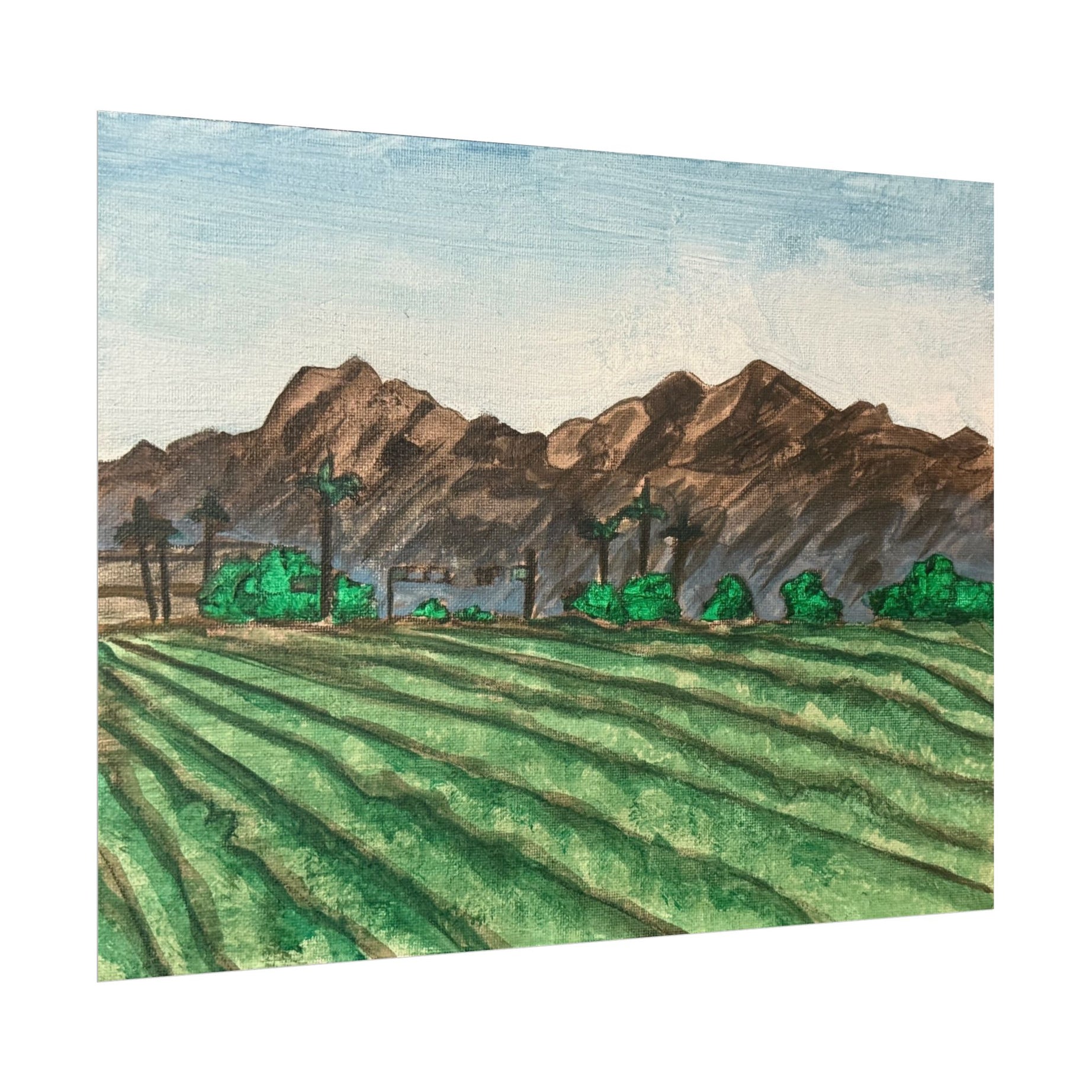 Phoenix, Arizona- Pushing The Art Day 92