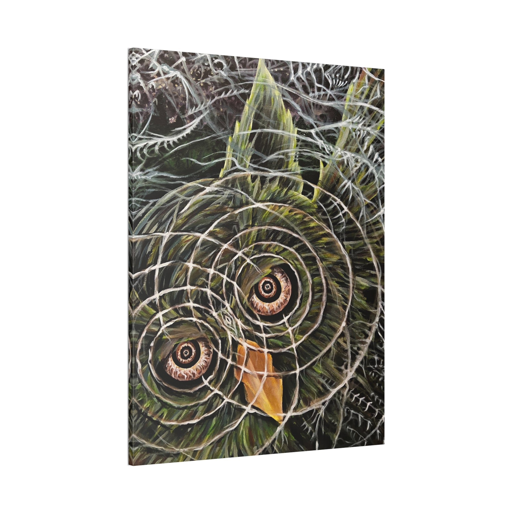 Hoo-Lucinations Canvas