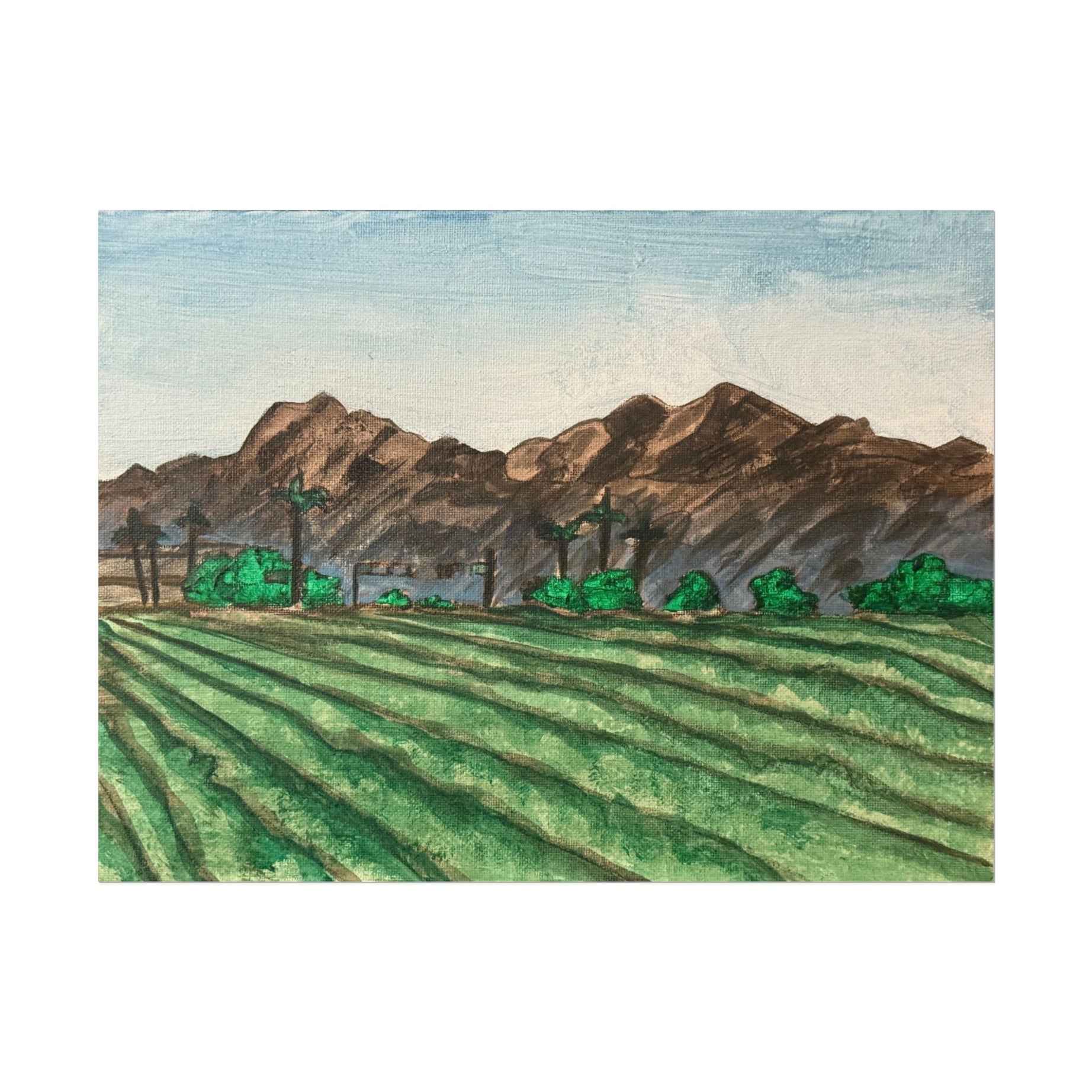 Phoenix, Arizona- Pushing The Art Day 92