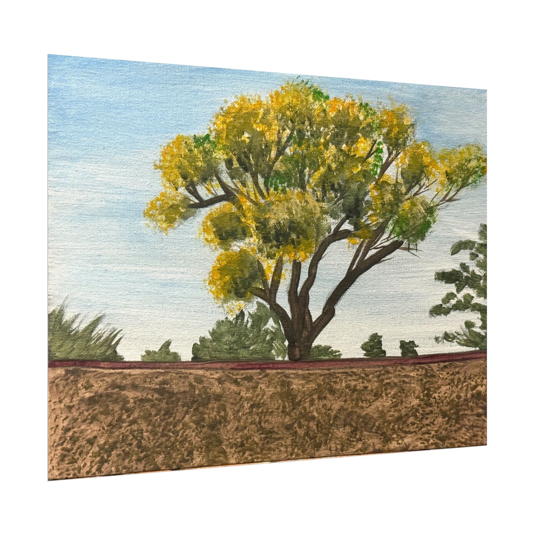 Thatcher, Arizona- Pushing The Art Day 85