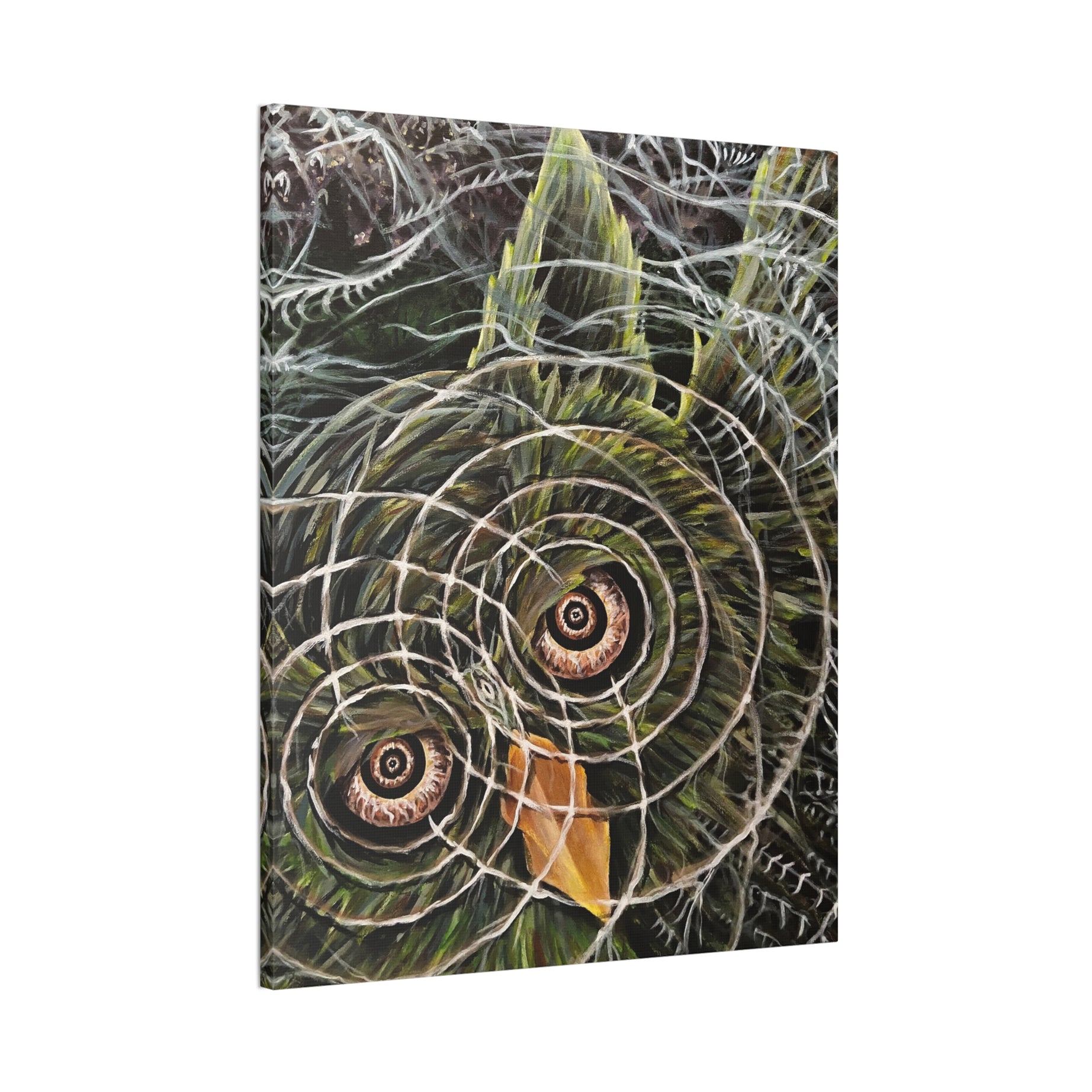 Hoo-Lucinations Canvas